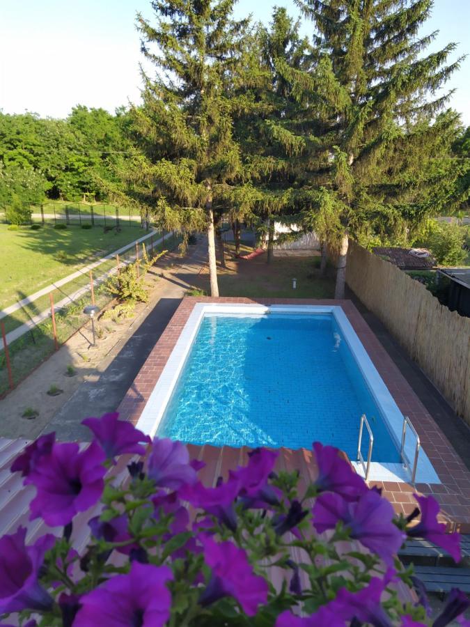 Blue Crystal Apartment Subotica Exterior foto
